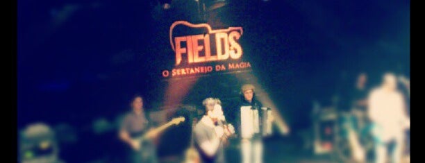 Fields is one of Melhor dupla sertaneja.
