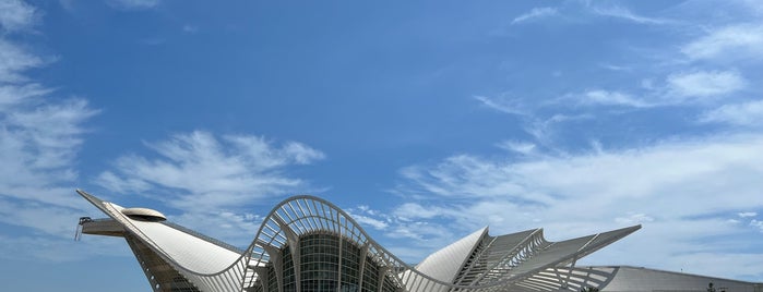 青岛大剧院 Qingdao Concert Hall is one of Dima concert halls.