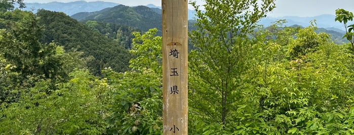 石尊山 is one of 山と高原.