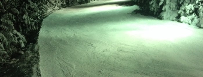 Ски-зона "Мартинови бараки" (Martinovi Baraki Ski Zone) is one of Posti che sono piaciuti a E. Levent.