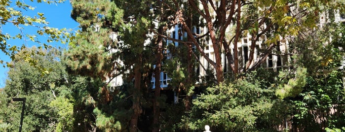 Charles E. Young Research Library is one of UCLA.