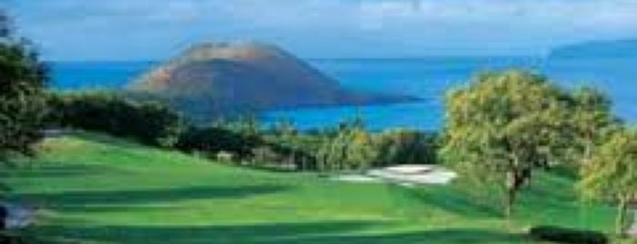 Wailea Old Blue Course is one of Tempat yang Disukai Joe.