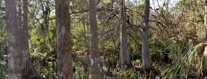 Fern Forest Nature Center is one of florida list.