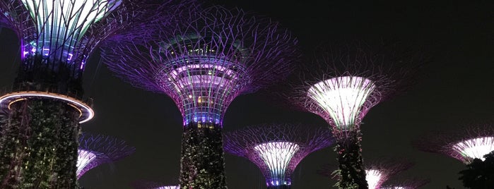Gardens by the Bay is one of Yohan Gabrielさんのお気に入りスポット.