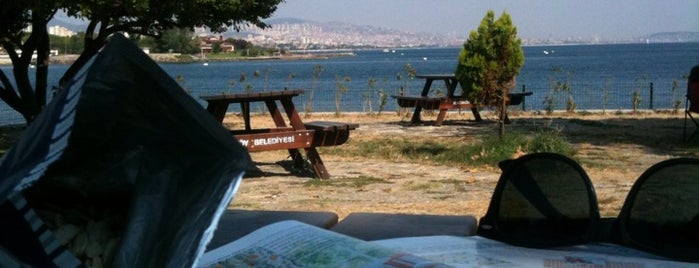 Fenerbahçe Parkı is one of สถานที่ที่บันทึกไว้ของ Merve.