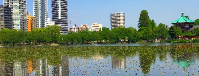 Shinobazu Pond is one of ラブライブ! 聖地巡礼.