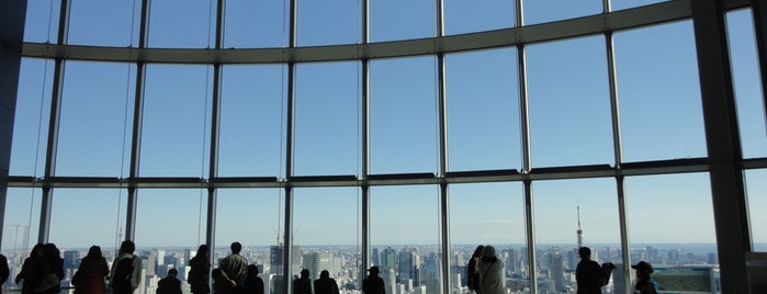 Tokyo City View is one of Land of the Rising Sun.