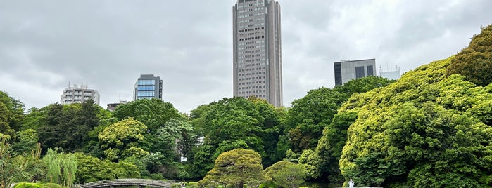 Japanese Traditional Garden is one of Tokyo to do.