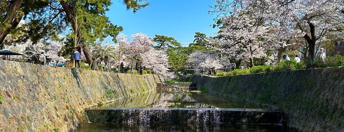 Shukugawa Park is one of 公園.
