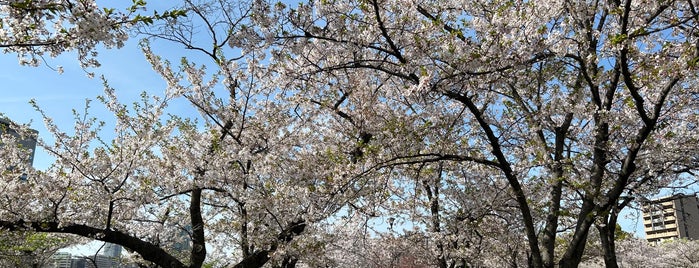 Kema Sakuranomiya Park is one of Osaka japan.