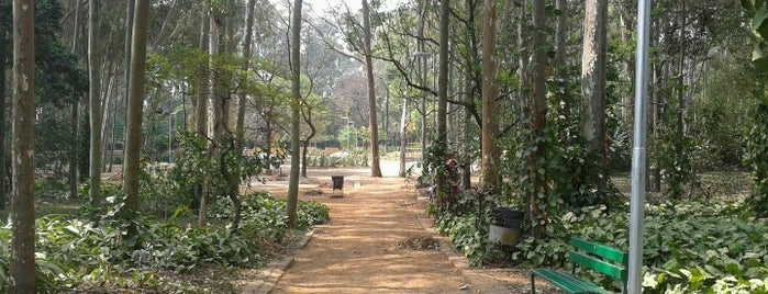 Parque do Piqueri is one of สถานที่ที่บันทึกไว้ของ Cledson #timbetalab SDV.