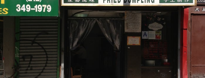 Fried Dumpling is one of New York.