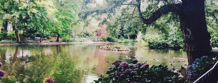 The Arboretum is one of Places To Go: Nottingham.