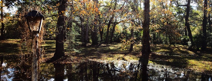 Kiawah Golf Rentals is one of Cities to Visit.