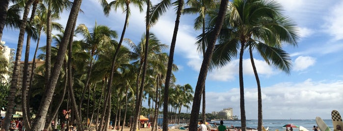 Waikiki Beach Walls is one of Hawai’i.