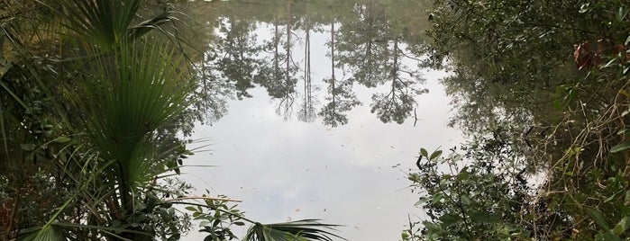 Lake Chautuaqua Park is one of Places to go in Florida.