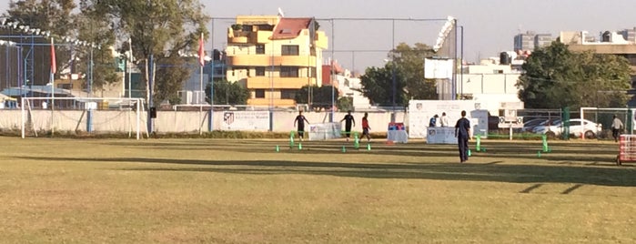 Escuelas de futbol Atletico de Madrid is one of Lieux qui ont plu à Fernanda.