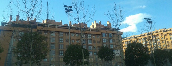 Patinódromo de Arganzuela is one of Lieux qui ont plu à Fernando.