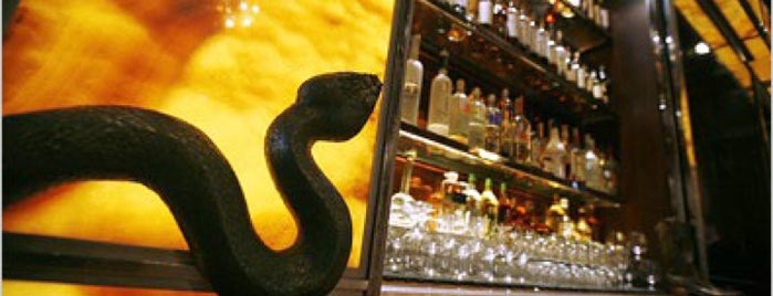 Rattlesnake Bar is one of Central Dallas Lunch, Dinner & Libations.