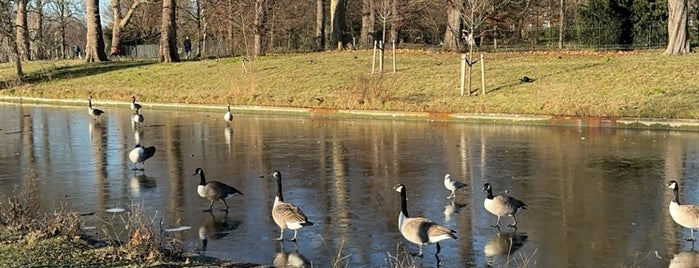 Regent's Park Lake is one of Tempat yang Disukai Dmitry.
