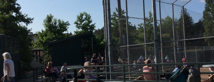 Lee Johnson Field at Peter Kirk Park is one of Pacific Northwest.