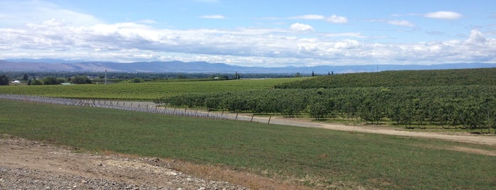 Reflection Vineyards is one of Yakima, Washington.