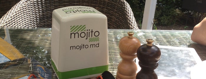 Mojito is one of Moldova.