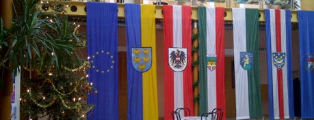 Gemeindeamt Vösendorf is one of Kultur.