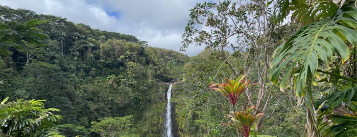 Lava Tree State Park is one of Hawaii.