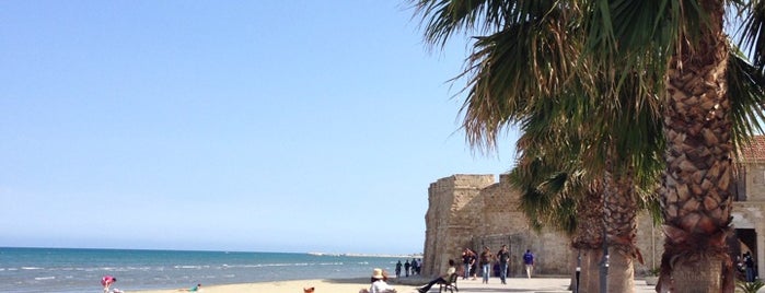 Larnaca Port is one of Cyprus.