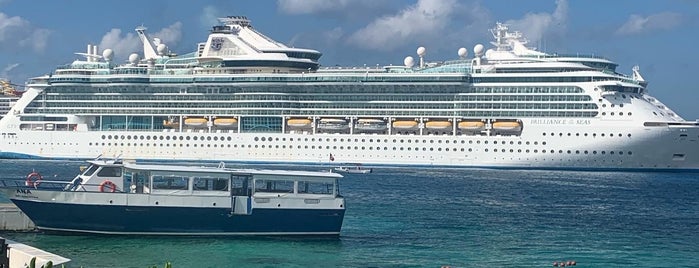 Brilliance of the Seas-Royal Caribbean is one of 🏝COZUMEL🐠.