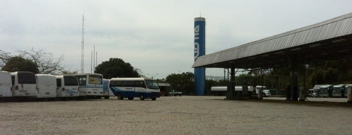 Rio Ita LTDA is one of Buses Customers.