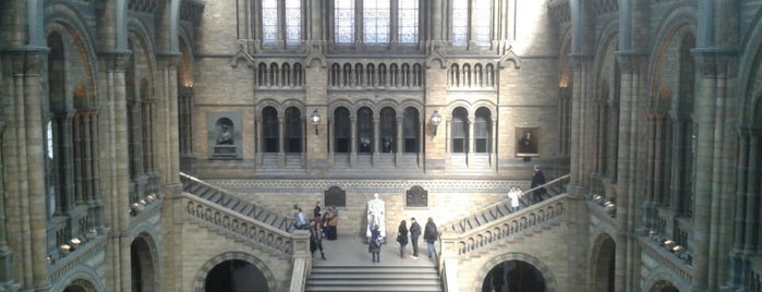 Natural History Museum is one of About LONDON.