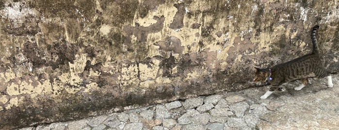 Section of the Old City Walls is one of Macau.