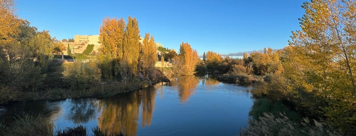 Río Tormes is one of Erasmus Salamanca.