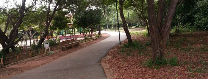Parque da Cidade is one of Conhecendo Santarém-PA e áreas próximas.
