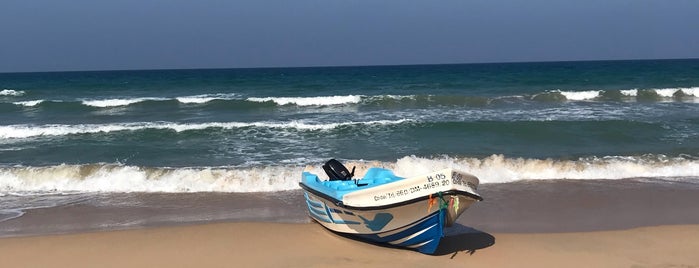 Nilaweli Beach is one of Sri Lanka.