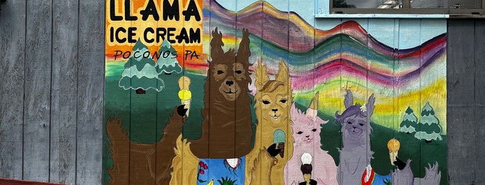 Llama Artisanal Ice Cream is one of Ice Cream.