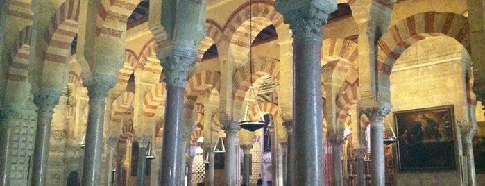 Mosque-Cathedral of Cordoba is one of Visited Places in Spain.