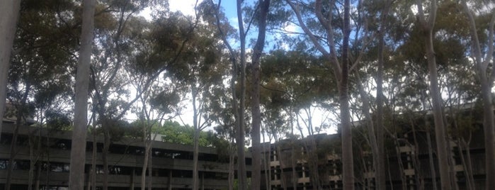 Macquarie University is one of Orte, die L. gefallen.