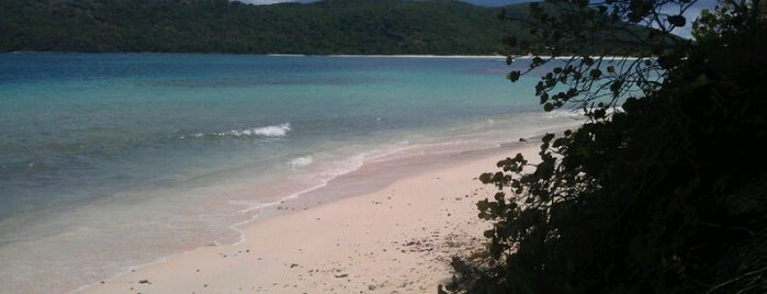 Flamenco Beach is one of plages.