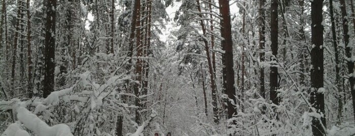 Старі Петрівці is one of สถานที่ที่ Екатерина ถูกใจ.