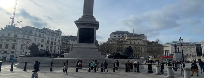 Trafalgar Square Lions is one of London.