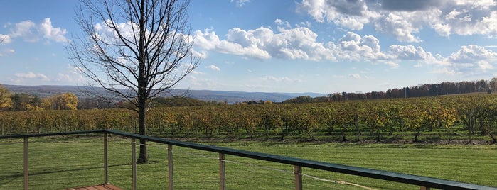 Hickory Hollow Wine Cellars is one of Finger Lakes Wine Trail & Some.
