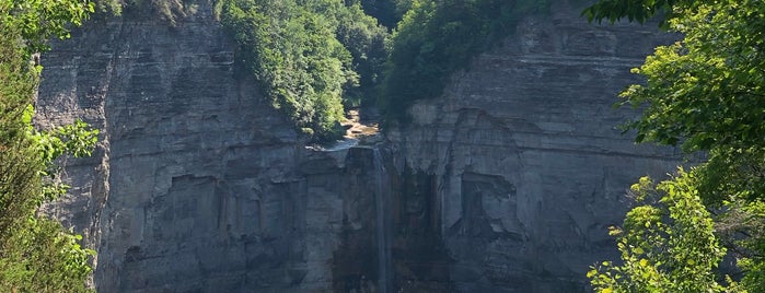 Taughannock Falls is one of Stacy's Saved Places.