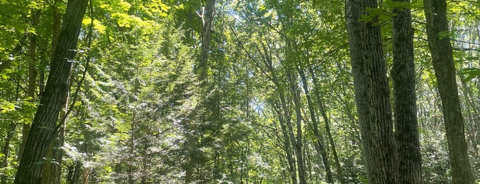 Hurley Rail Trail is one of Catskills.
