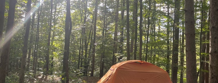 Watkins Glen State Park-Onondaga Village is one of Camping and Glamping.