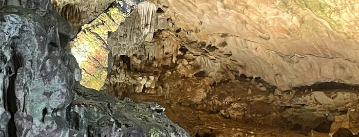 Hang Sửng Sốt (Surprising Cave) is one of Lieux qui ont plu à David.