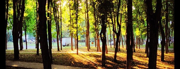 Парк "Інтернаціональний" is one of Всі парки Києва.