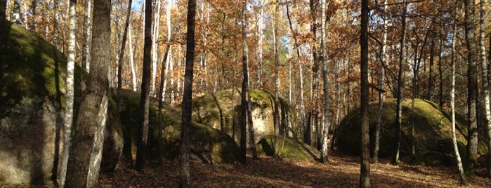 Заказник «Кам’яне Село» is one of Андрей'ın Beğendiği Mekanlar.